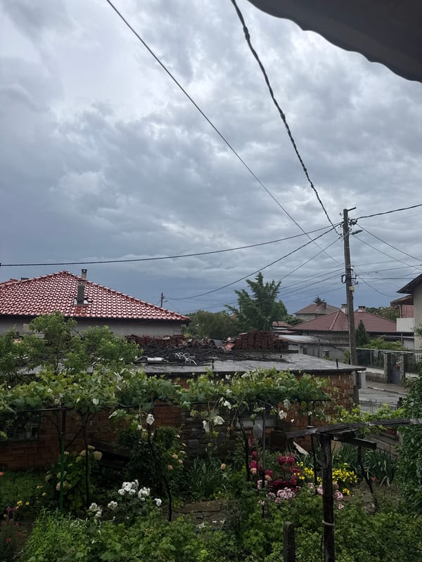 Domestic life documented in Bulgarian town over morning hours