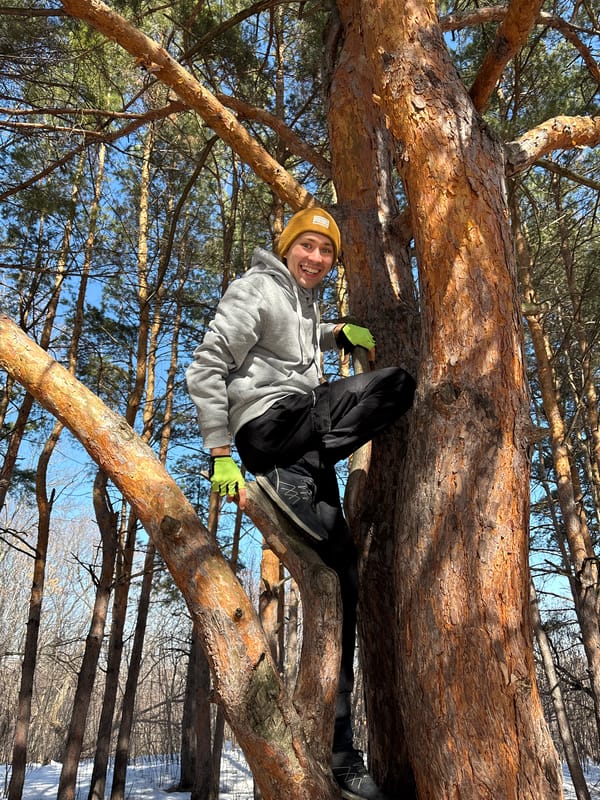 Friends climb trees, take selfies in snowy Russian forest