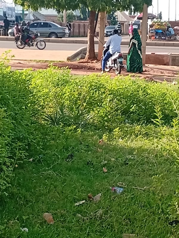 Roadside market life along a rural Nigerian highway
