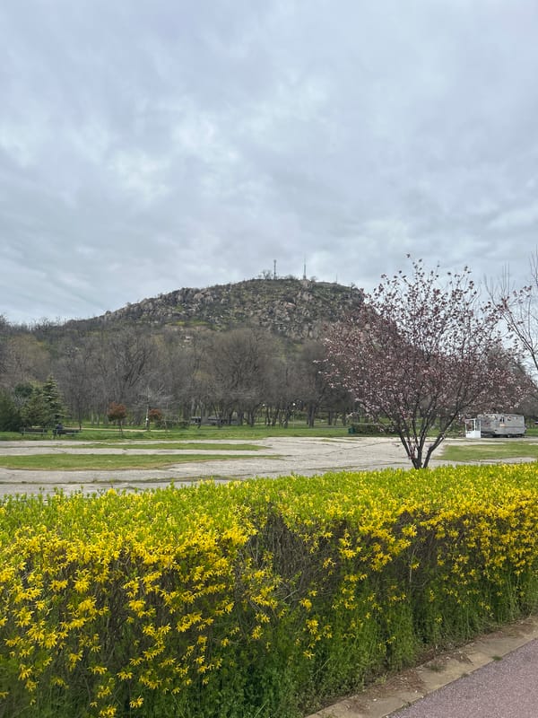Spring day scenes captured across Plovdiv, Bulgaria