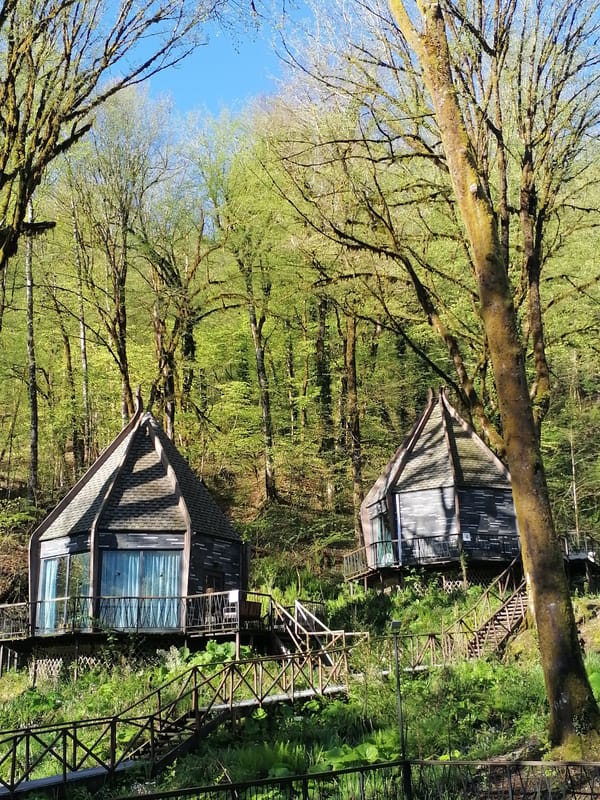 Forest cabins and woodland scenes documented in rural Russia