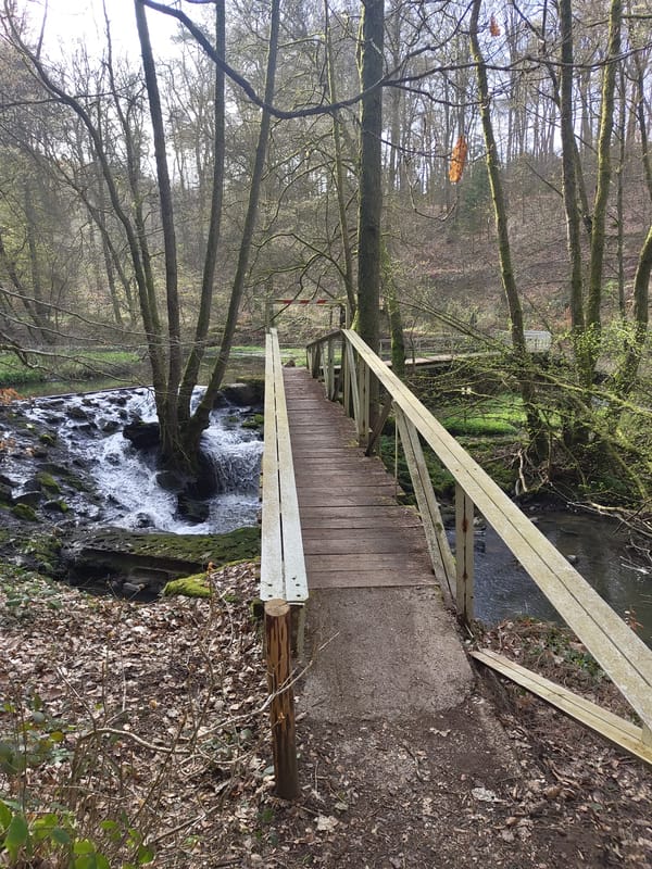Morning walk documented along Mettlach's Leuk River bridges and trails