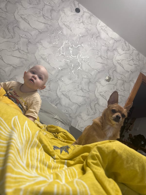 Family moments documented in Chaikovsky include toddler, baby, cooking