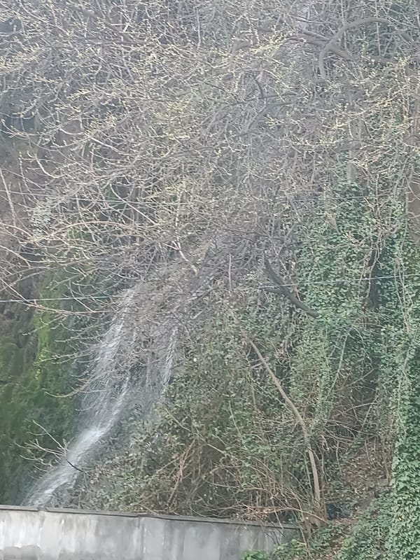 Tbilisi residents document park waterfall and street traffic scenes