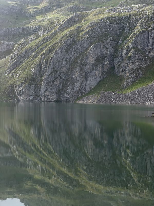 Cows graze by tranquil mountain lake in Montenegro