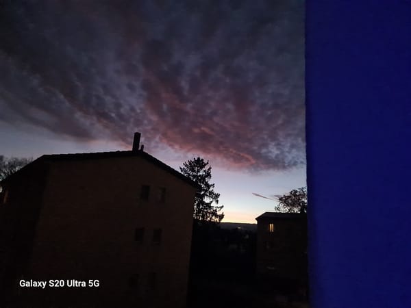 Evening documentation captures twilight and interior scenes in Budenheim