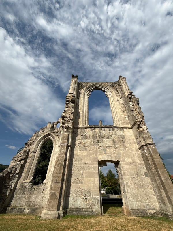 French Bulldog explores the ruins of Walkenried Abbey