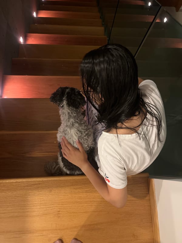 Person pets dog on wooden stairs in Mexican neighborhood