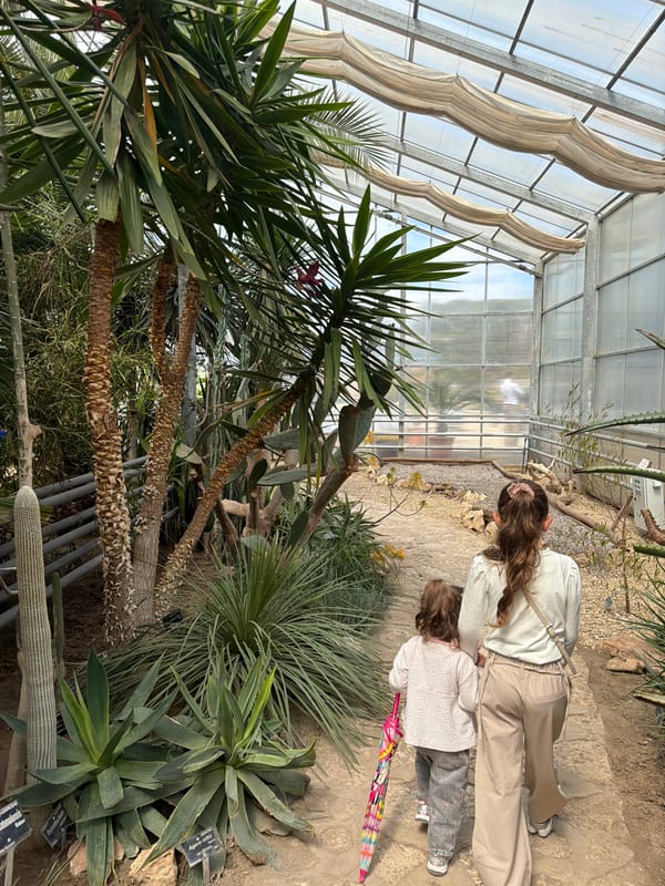 Spring visitors explore Balchik Botanical Garden greenhouses and tulip displays