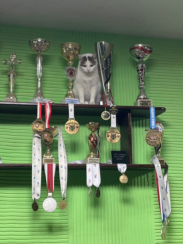 Cat found among trophies at Kardzhali gym facility
