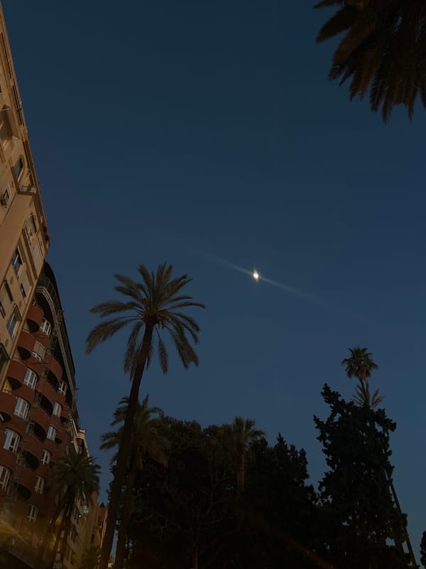 Evening moon and stadium scenes captured across València