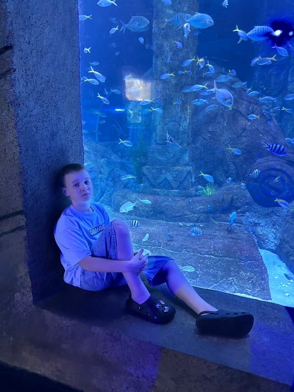 Mermaid performers entertain crowds at Vietnam aquarium show