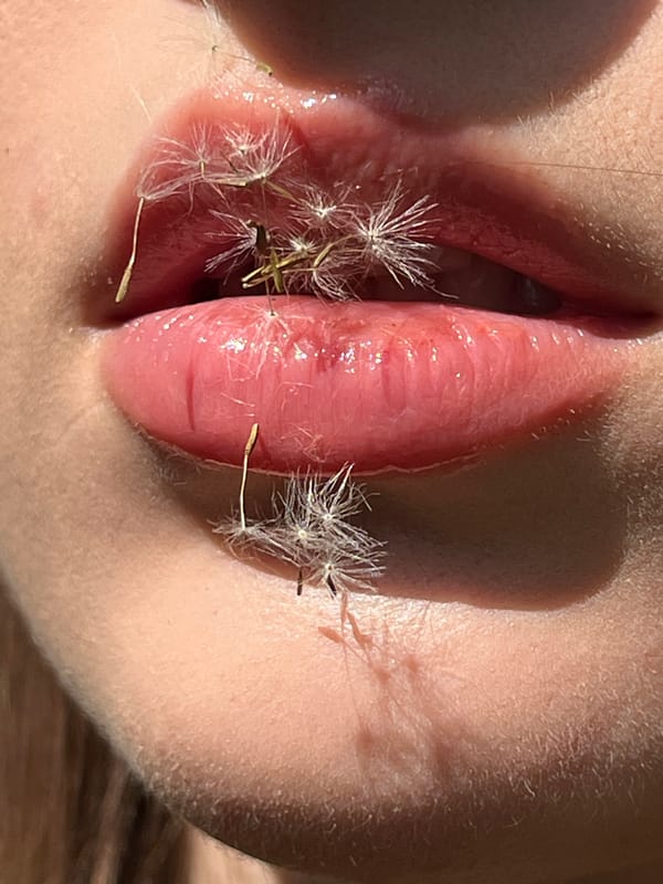Close-up nature details: dandelions, flowers, and fresh fruit.