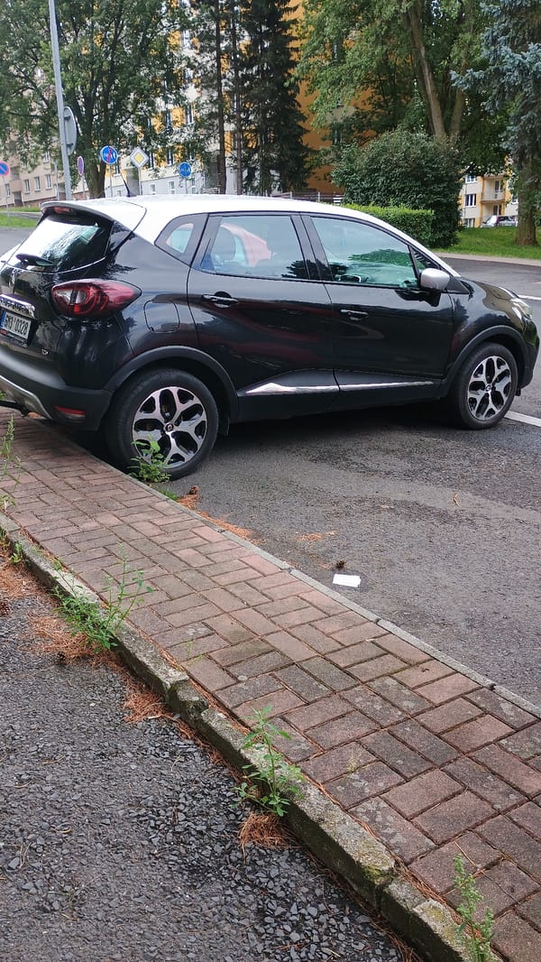 Street parking and garden blooms in a Sokolov neighborhood