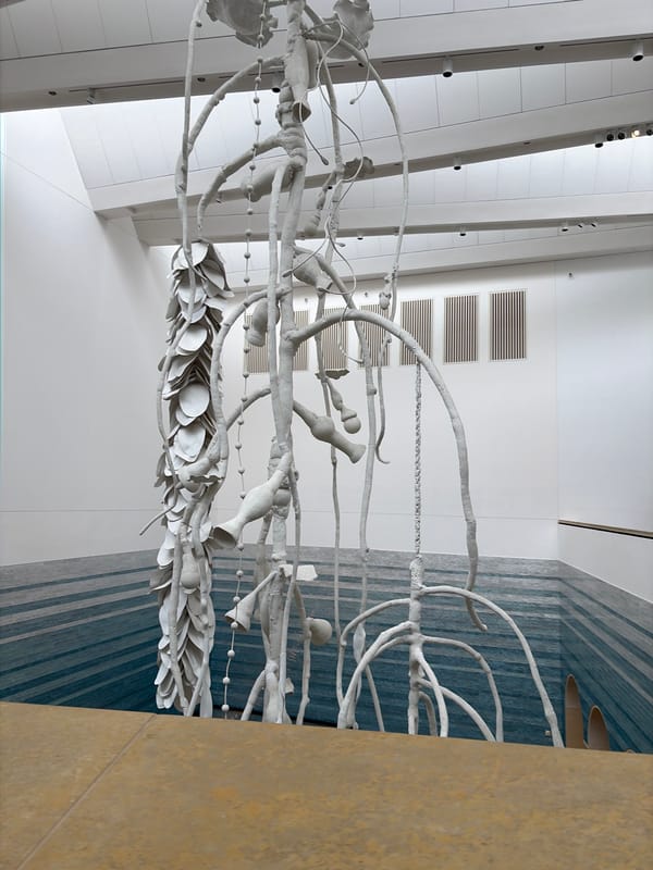 Art gallery documentation captures diverse installations in Austin venue