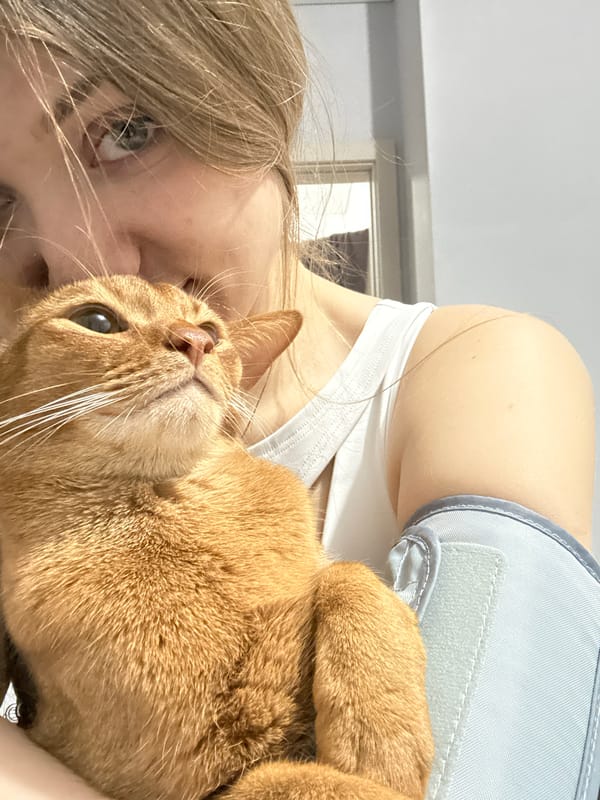 Woman takes selfies with orange cat in Kazan