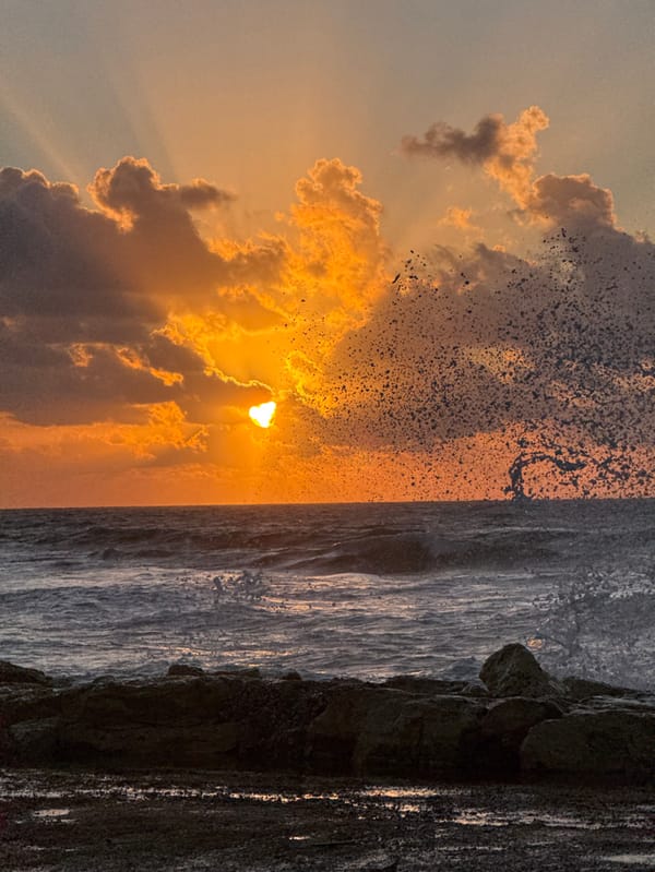 Sunset watchers gather along Tel Aviv Mediterranean coastline
