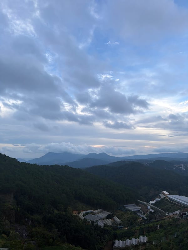 Sunset views over Xuân Thành from a forested hillside overlook