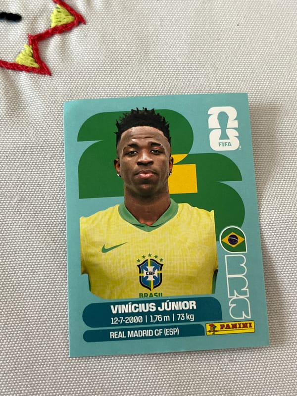 Collector organizes FIFA trading cards while Cocker Spaniel watches