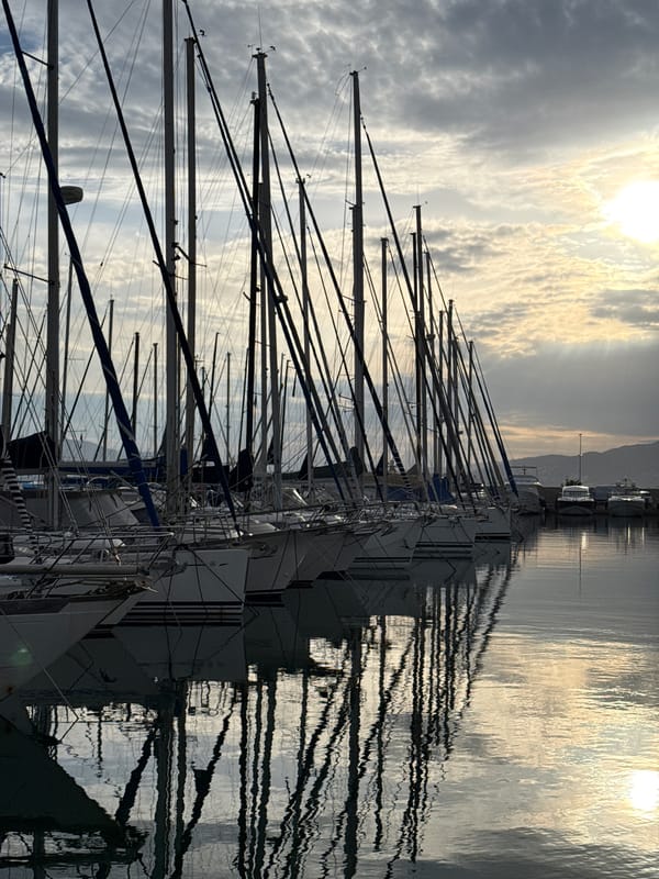 Peaceful yacht marina scene documented in Cannes harbor