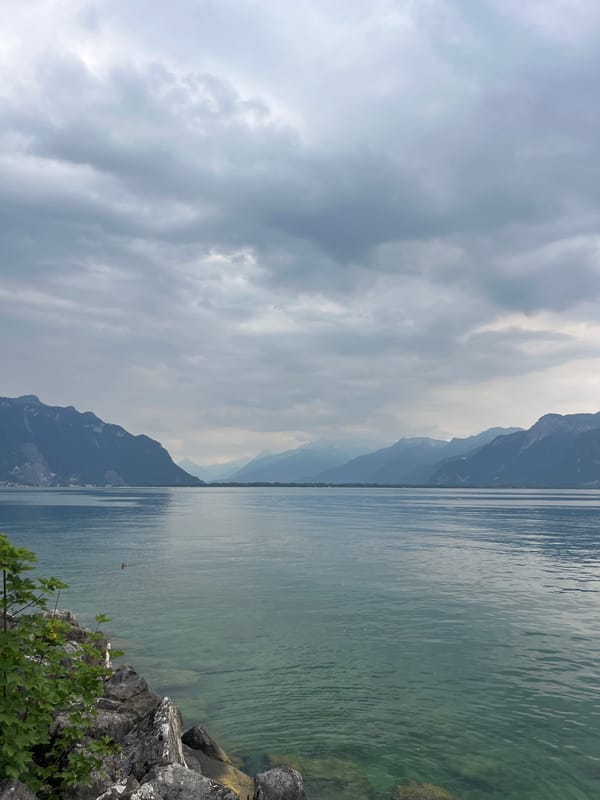Montreux marina and Lake Geneva on a quiet, cloudy afternoon.