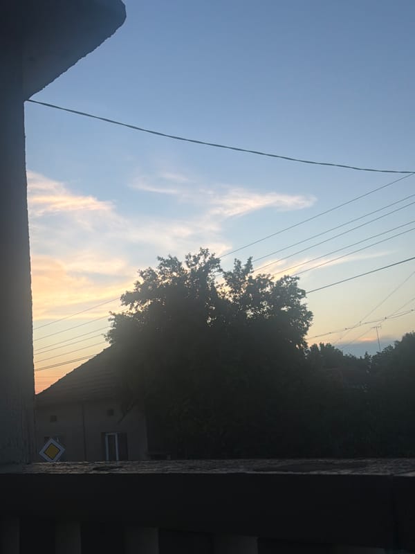 Person documents sunset balcony moment with flowers and flip-flops
