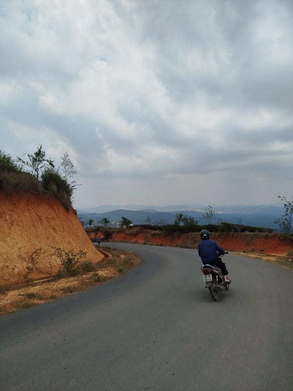 Morning scenes documented across tea plantation region in Vietnam