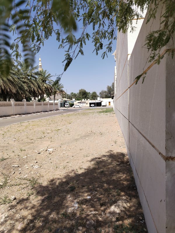 Woman takes selfies on tree-lined street in Al Mas'oudi