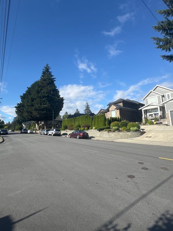 Sunny afternoon on a quiet Coquitlam residential street