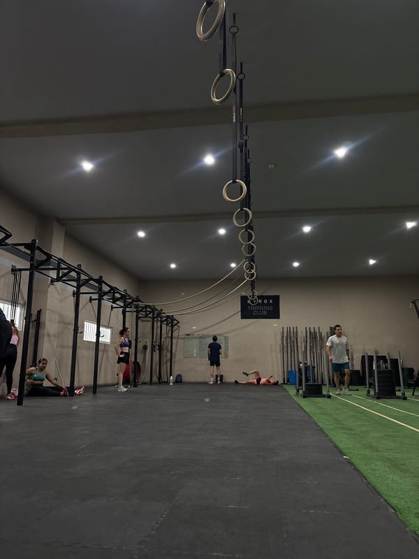 Gym activities documented in San Bernardino Tlaxcalancingo fitness facility