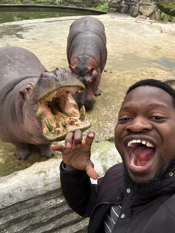Early morning zoo visit captures animal feeding in Chongqing