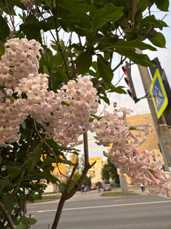 Spring afternoon documentation captures selfies and urban scenes in Perm