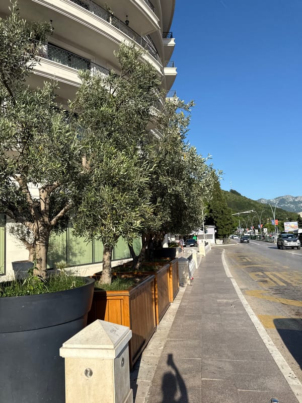 Daily life documented across Budva streets and restaurants