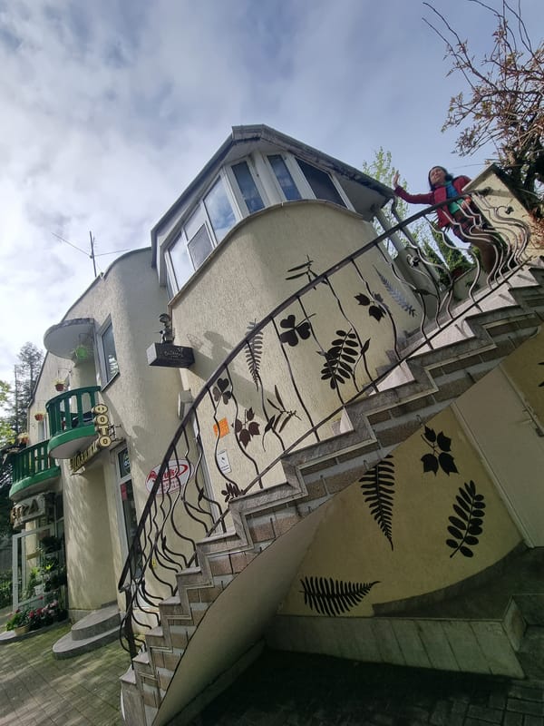 Witness documents Sochi building architecture with decorative fern patterns