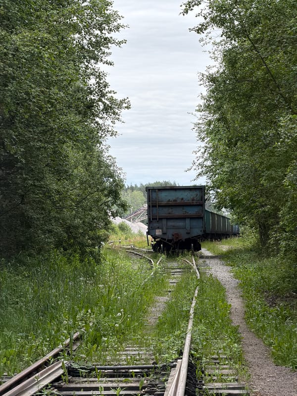 Freight train on overgrown forest tracks in Kuznechnoye