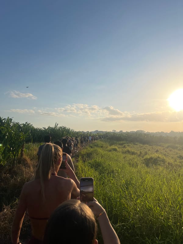 Group moves single-file through Mengwi fields at sunset