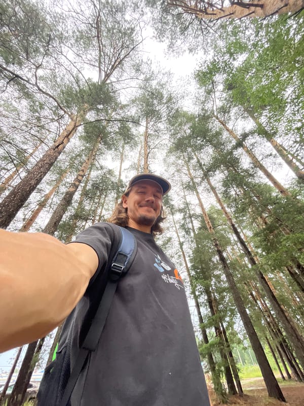 Roadside stop in a pine forest, midsummer.