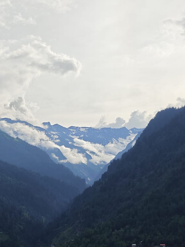 Mountain valley views and wildflowers around Vashisht, Himachal Pradesh