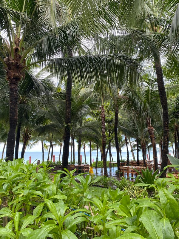 Wet morning walk through a Phú Quốc resort and beachfront