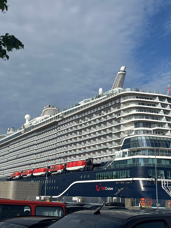 TUI cruise ships dock in Kiel as seal spotted