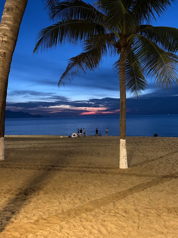 Nha Trang beach at twilight, palm trees against a colorful sky