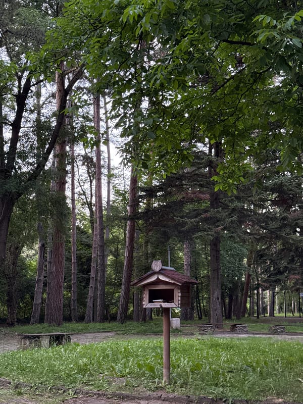 Wandering a Lovech park: birdhouse, game board, waterside fence