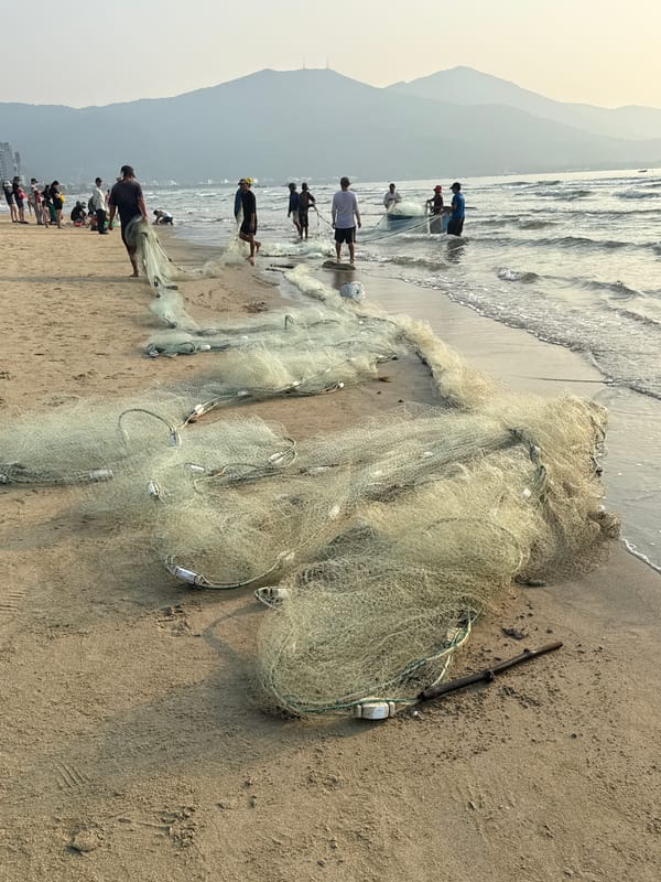 Beach activity and marine life captured in Đà Nẵng