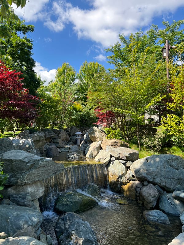 Morning visit to Japanese garden in Krasnodar documented