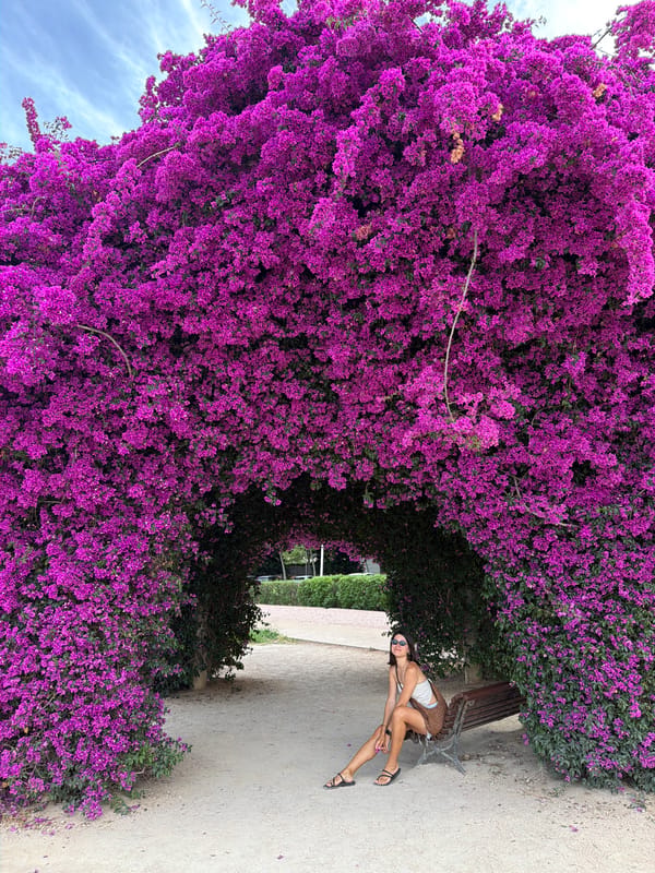 Afternoon in València: Turia Garden blooms and Arts and Sciences