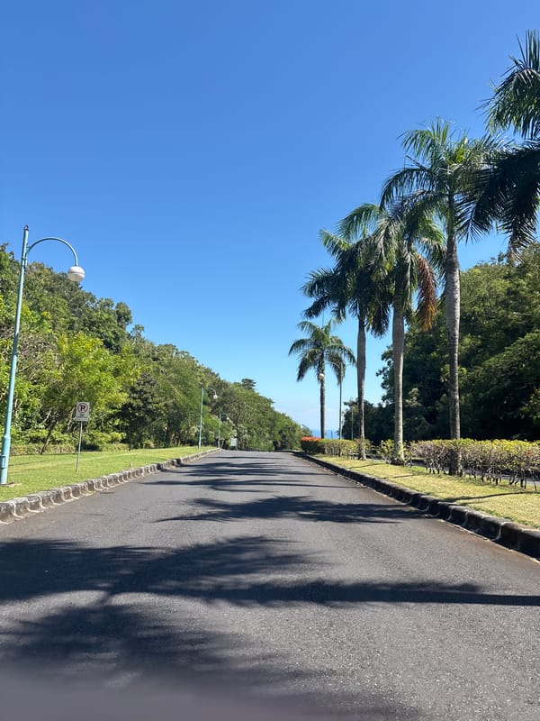Tree-lined road documented in Pecatu, Indonesia
