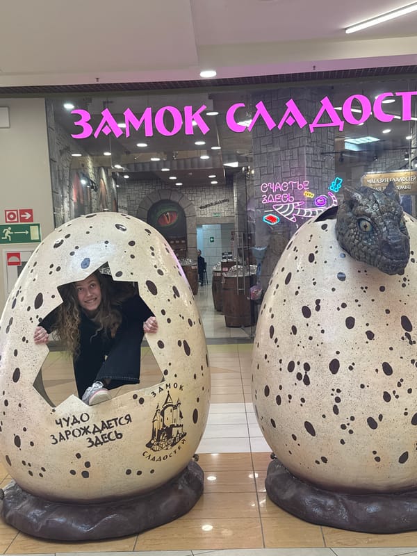Indoor displays documented at Yaroslavl commercial space