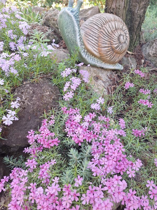 Garden ornaments spotted among spring blooms in Montana, Bulgaria