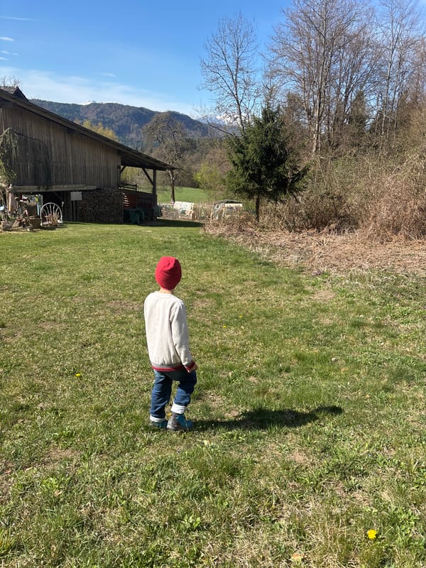 Child and dog enjoy spring morning in Austrian countryside