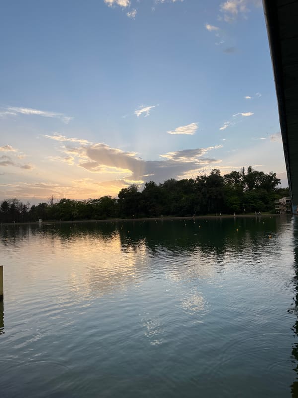 Witness captures sunset reflections and spring blooms during evening hour